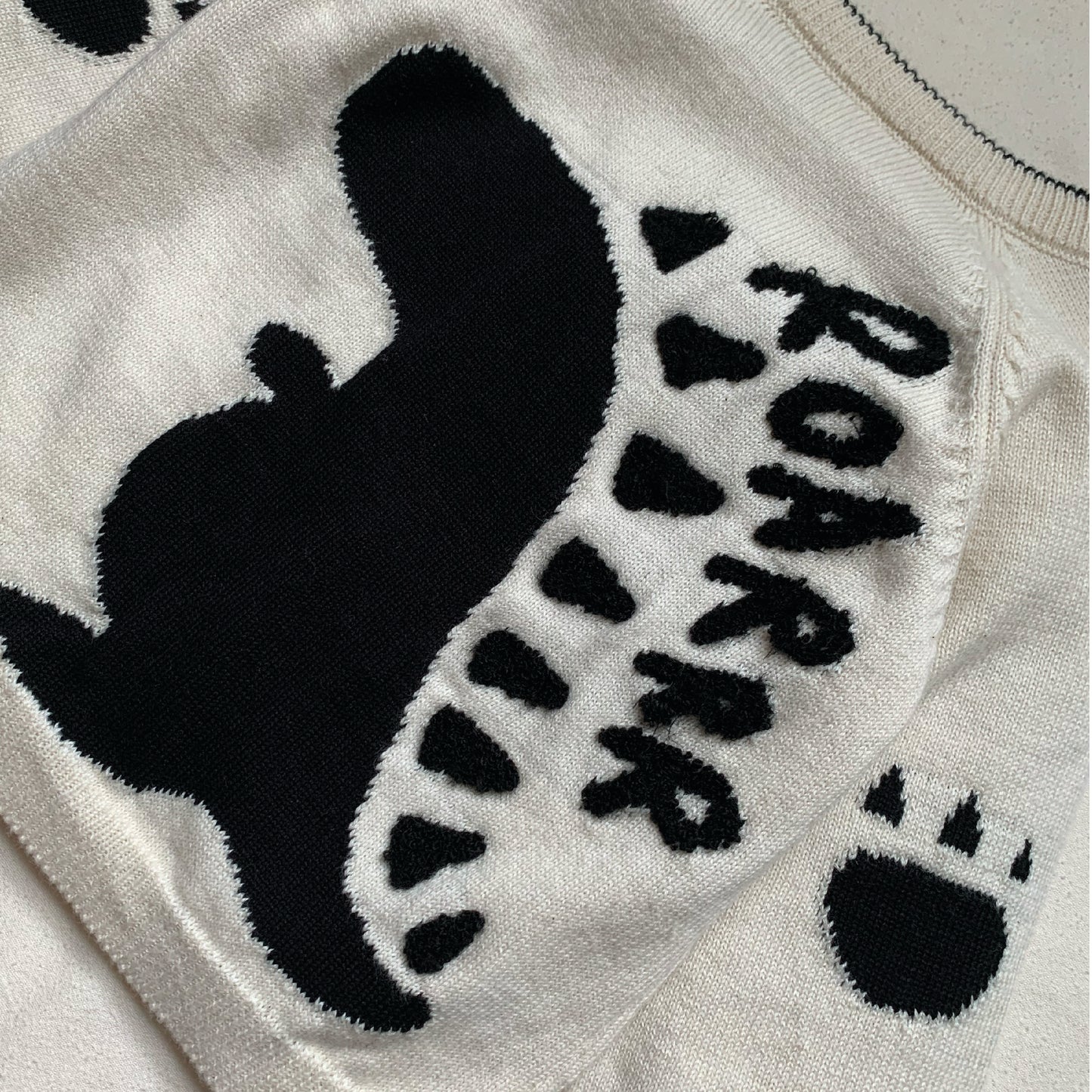Fable & Bear - Dino Jumper